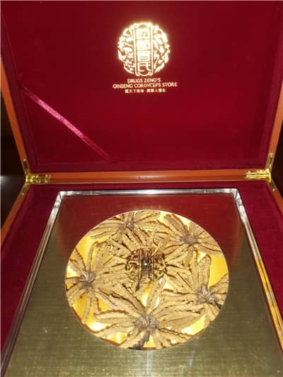 1576830333279084.jpg 47冬虫夏草.jpg