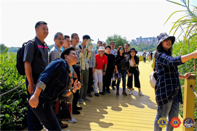 1591693203105315.png 16.png