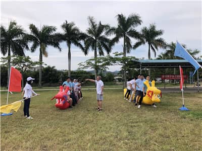 1602831147276447.jpg 17.JPG