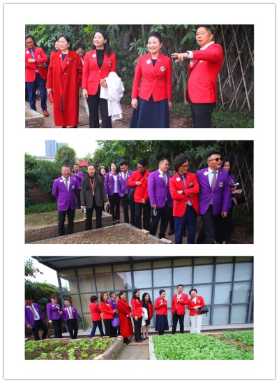 1763708113946212.jpg 5.jpg